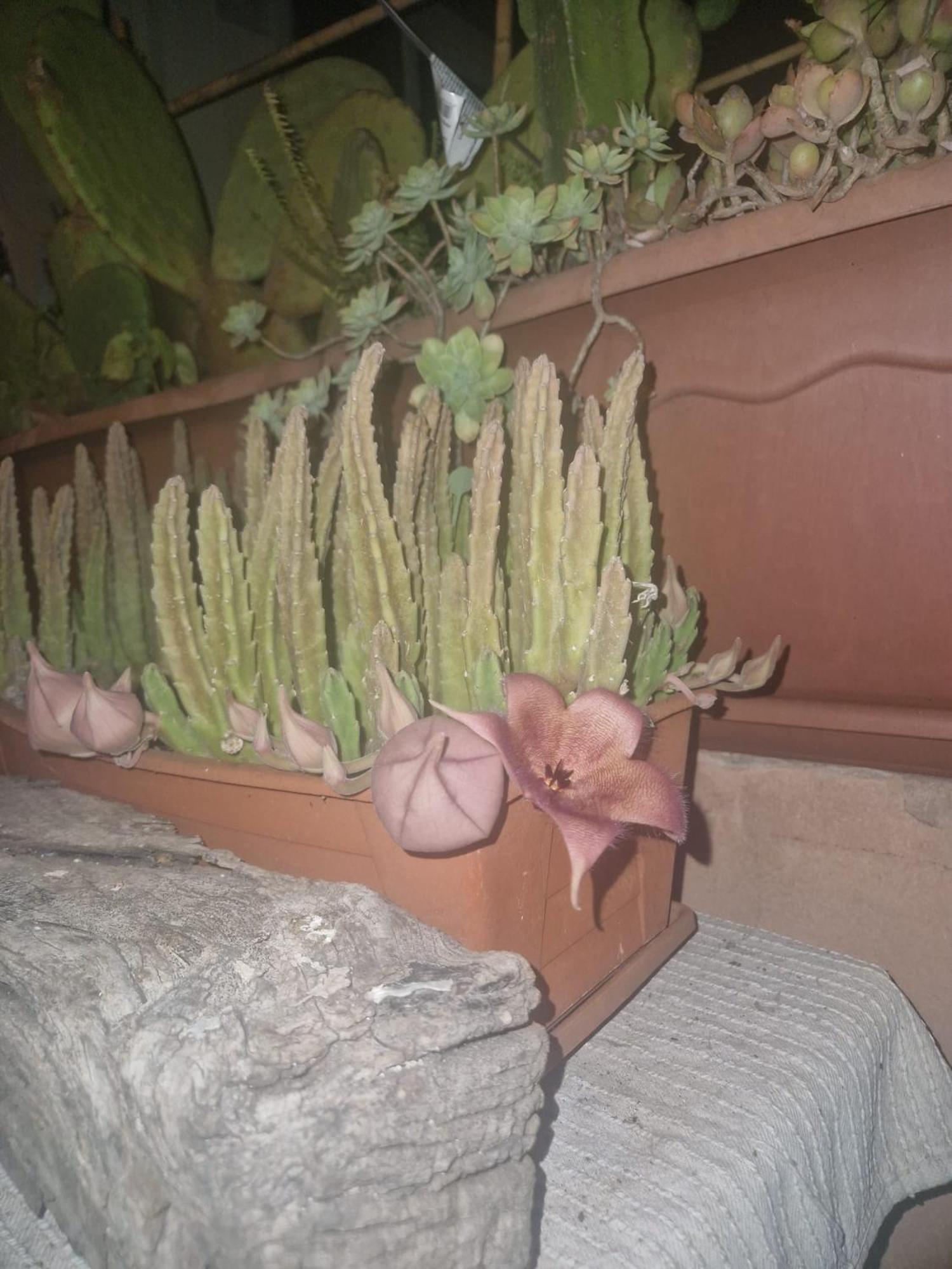 La Casa Di Melina - Home Book & Green Lovely Terrace Pachino Ngoại thất bức ảnh